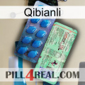 Qibianli new02